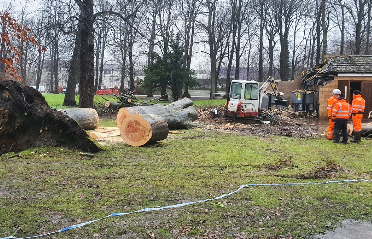 A tree fell on the substation in Larbert.