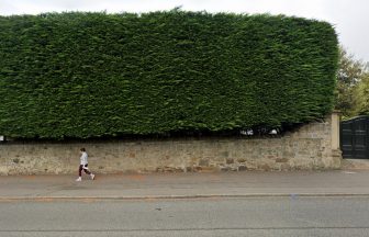 Road disruption in Edinburgh as JK Rowling’s hedge trimming causes queues of traffic