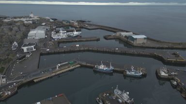 Sand eel fishing ban proposal receives mixed response