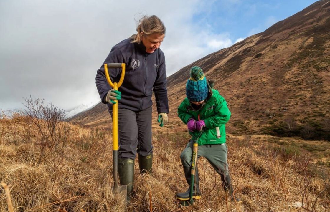 Plea to save Scotland’s endangered species in woodlands ‘devastated’ by climate