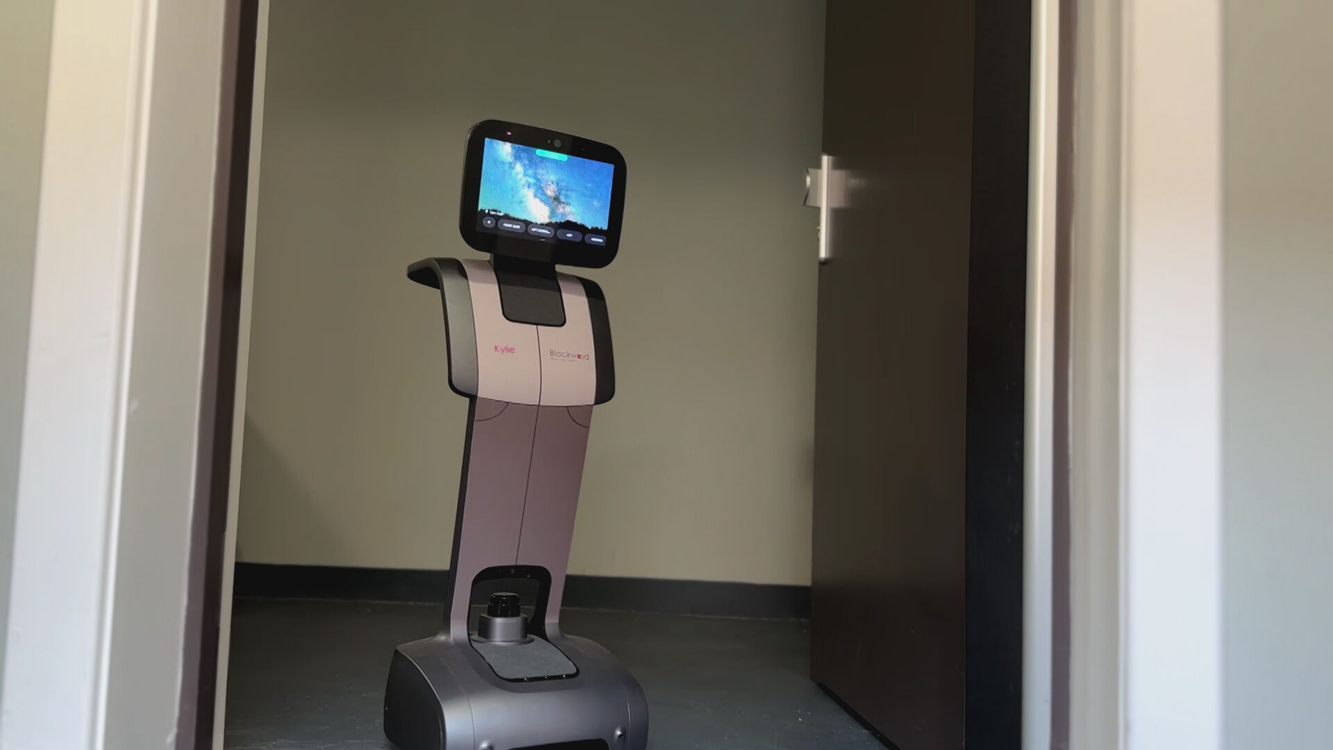 Some robots have been designed to help ease pressure on frontline healthcare staff and address cognitive decline in patients