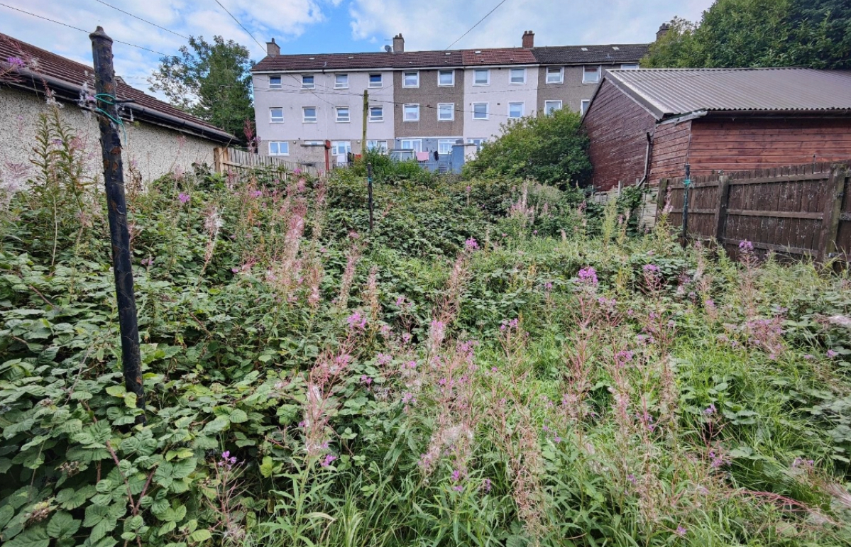 The garden had been abandoned for nearly a decade. 