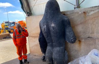 Gary the Gorilla stolen statue found under a hedge cut in half as owner ‘sickened’