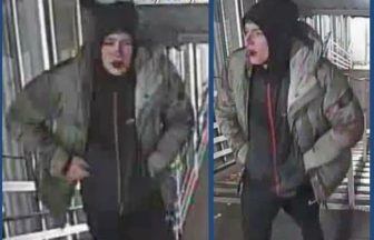 Appeal to trace man with Buckfast bottle after Rutherglen train station incident