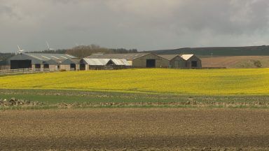 Farmers frustrated over new Scottish Government plans