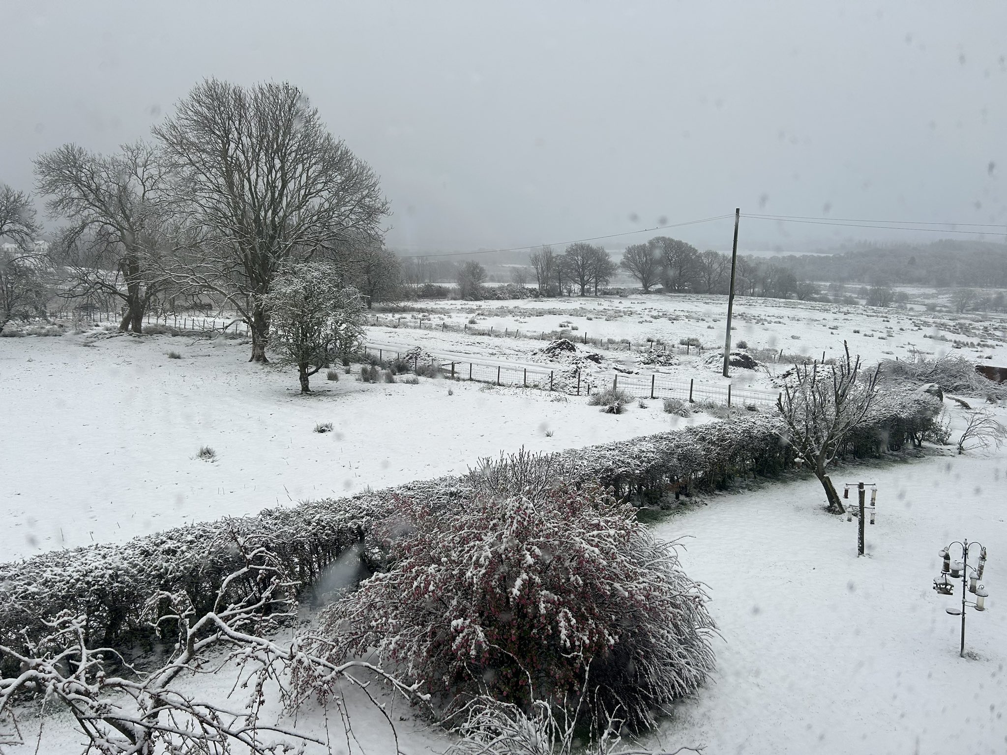 Aberfoyle residents awoke to a winter wonderland on their doorstep. 