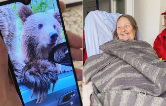 Scottish tourist mauled by bear through car window in Romania