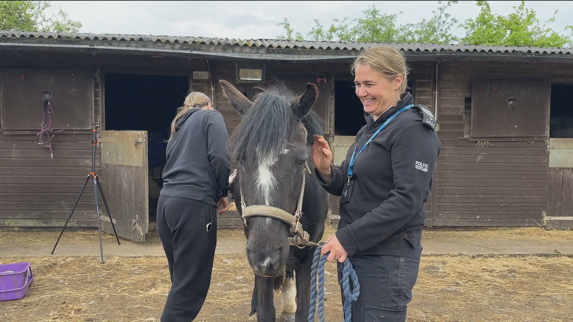 Sergeant Lauren Semple has been recognised for her work. 