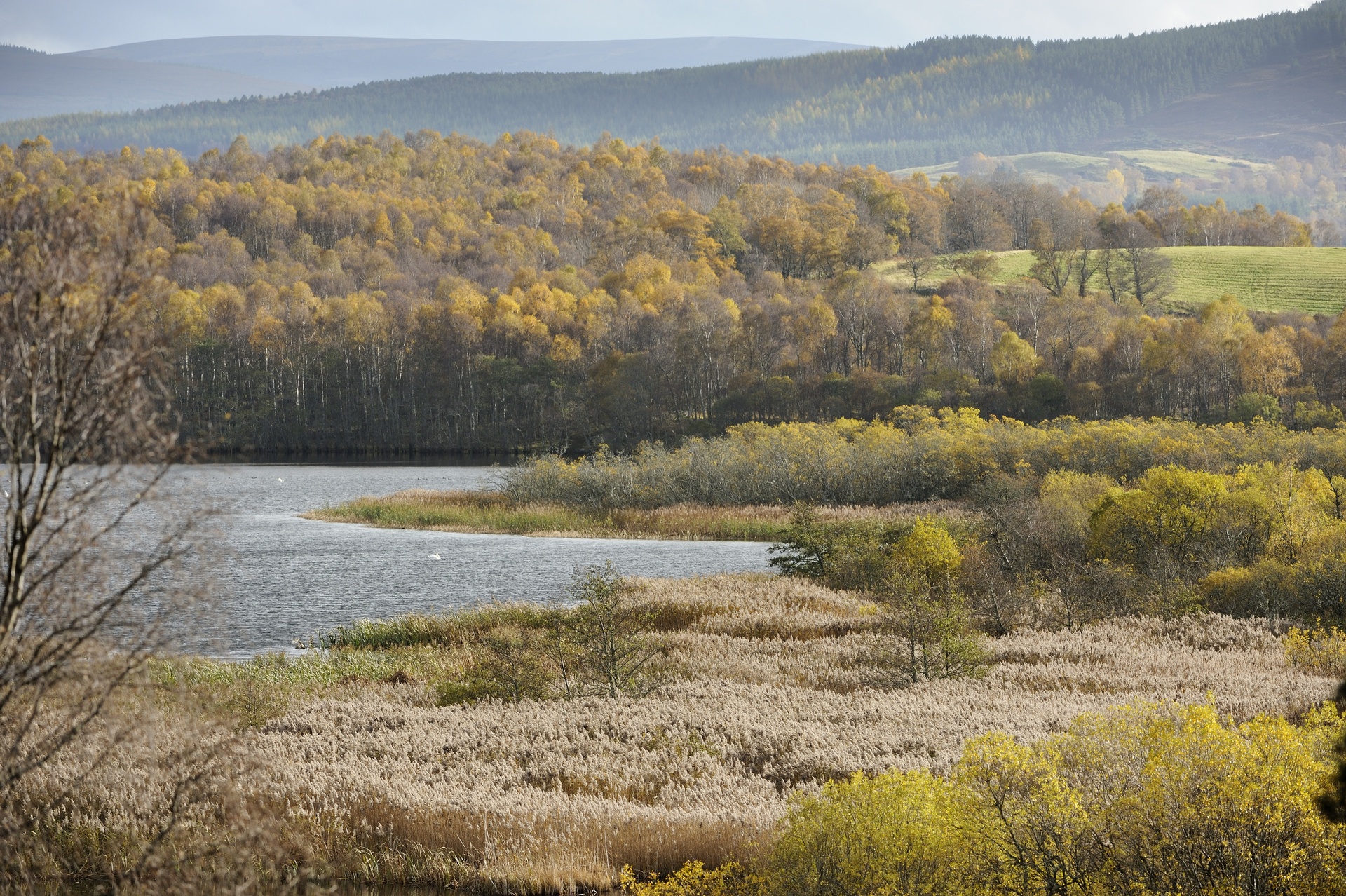 Fishing on Loch Kinord is by permit only and there is no fishing on Loch Davan.