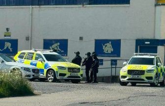 Teenage boy charged following reports of ‘youth in possession of firearm’ in Kirkcaldy, Fife