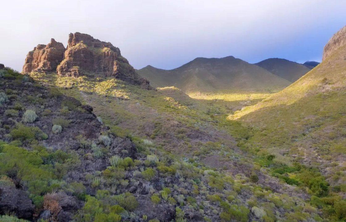 Scottish hiker rescued from Tenerife ravine during search for missing British teen Jay Slater