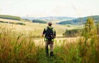 Record high as 30 million trees planted in Scotland last year