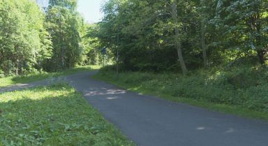 Roseburn path: Campaign to stop tramline being built along popular nature corridor