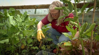 Community asks farmers to help produce food for local foodbanks