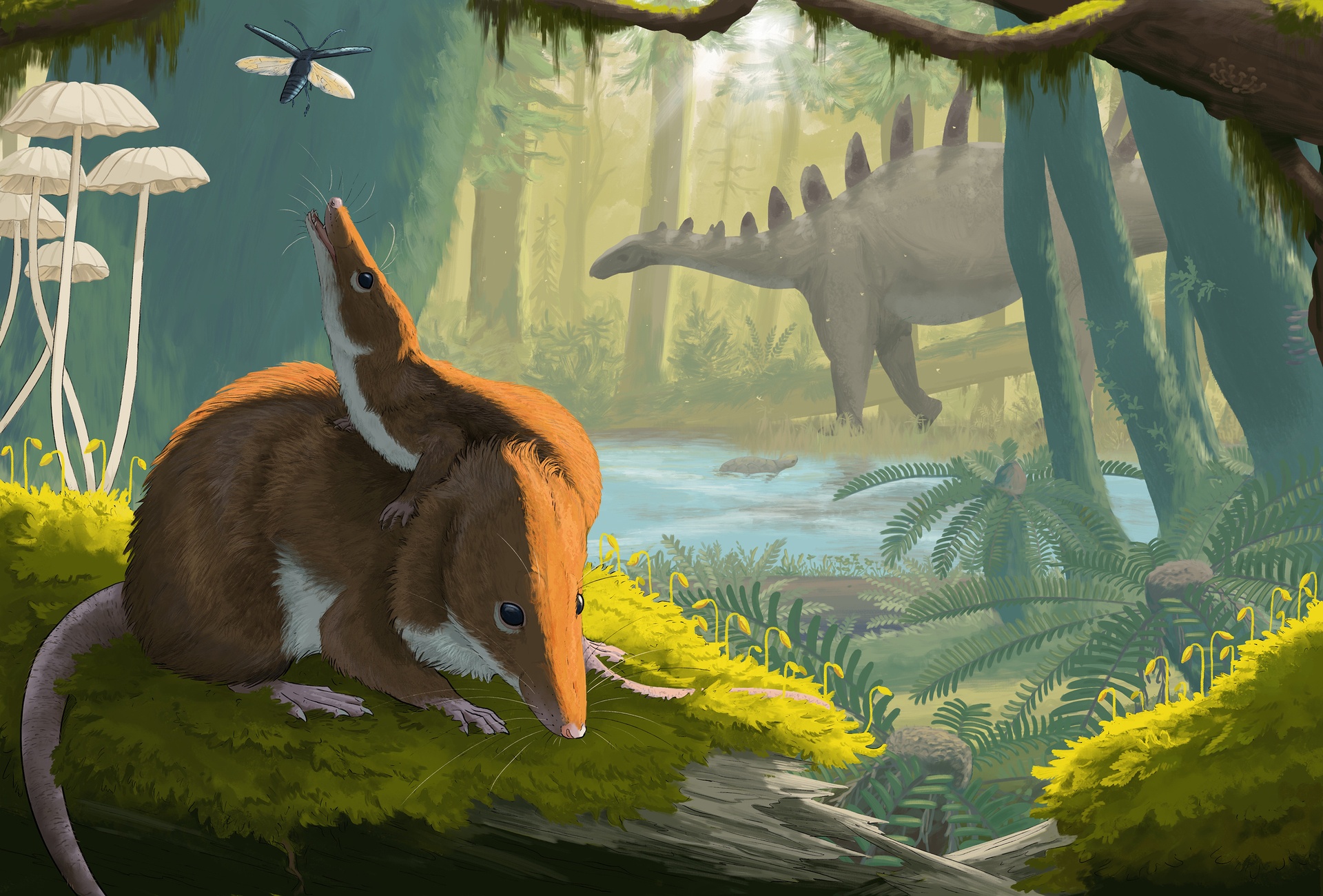 Artist impression of Krusatodon kirtlingtonesis. Credit: Maija Karala