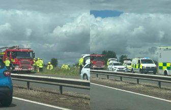 Man pronounced dead after police pursuit ends with crash on M9
