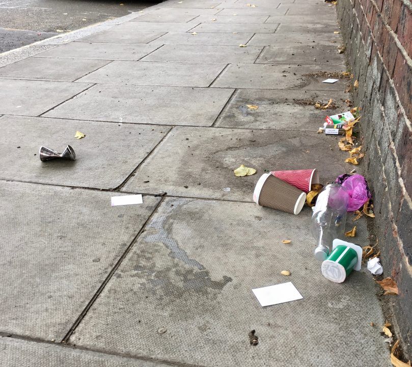 Edinburgh Council issued just one littering fine last year amid ‘litter emergency’