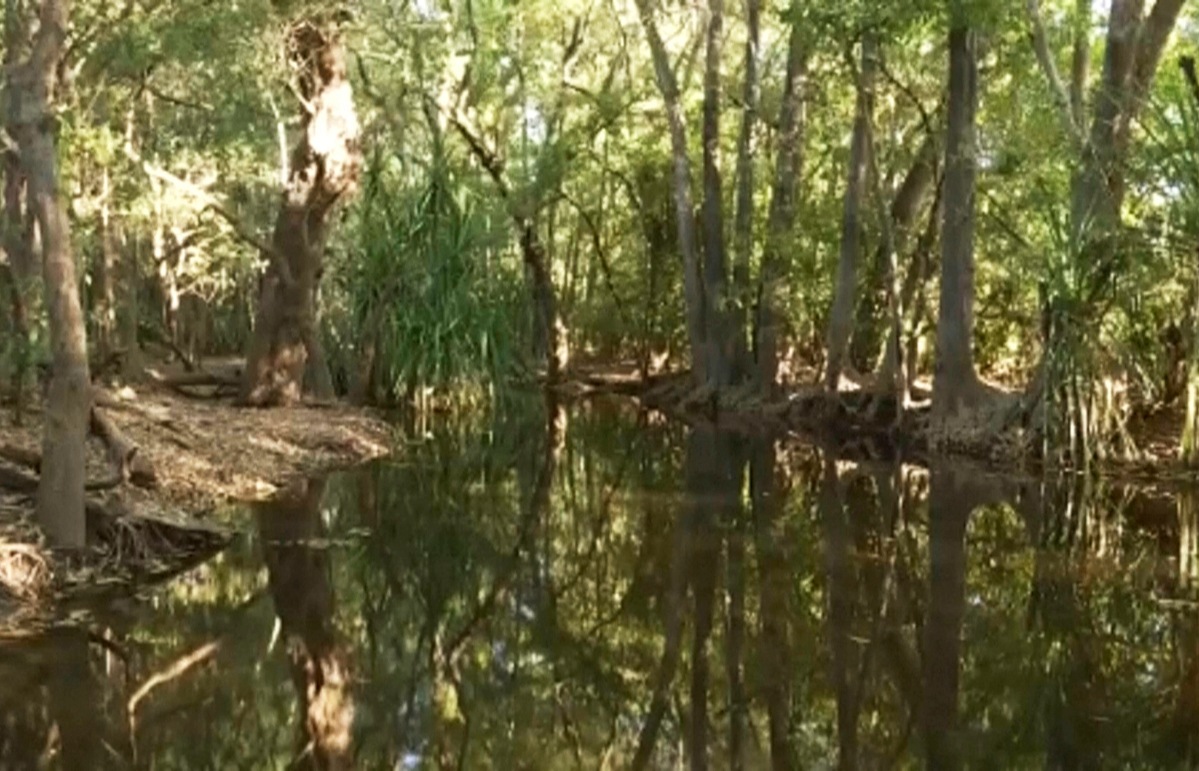 A 12-year-old girl was killed by a crocodile while she was swimming with her family last week