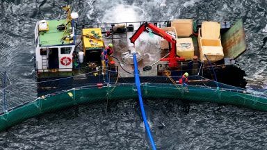 Recovery operation under way after boat sinks at salmon farm and spills fuel into Sound of Mull