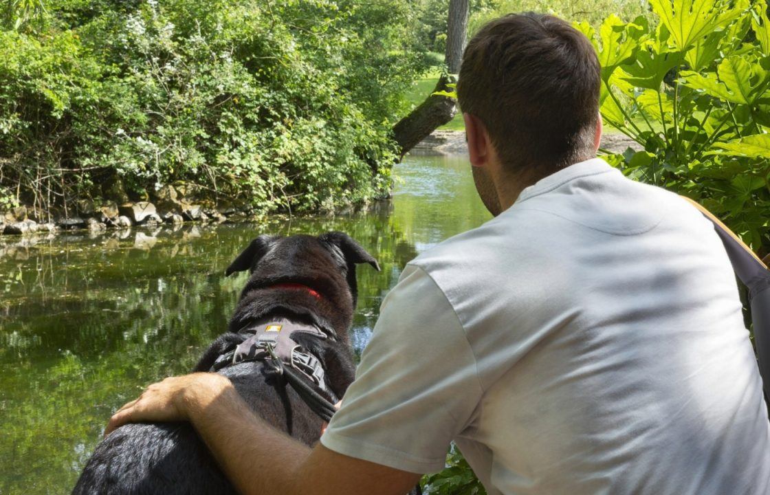 Urgent appeal for cat and dog fosterers in Scotland to help owners fleeing domestic abuse