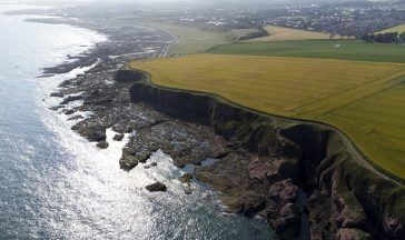 Two-thirds of Scotland’s coastal residents fear decline in health of fisheries, poll finds