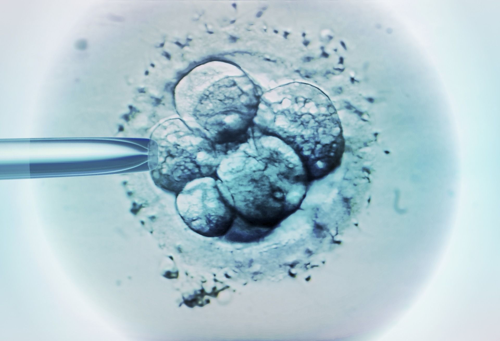 IVF treatment was last expanded in 2017 and could be expanded further again.