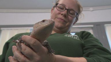 First Scottish vet school in 150 years to open in Aberdeen