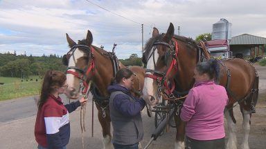 Highland farm ploughing ahead with plans to keep Clydesdale horses alive