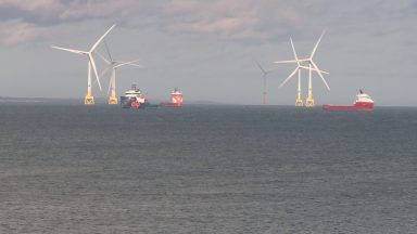 New offshore wind guidance to help protect nature