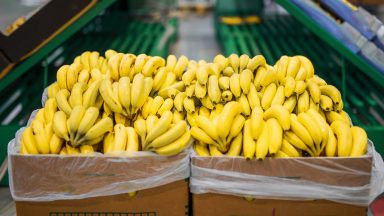 Took three days to search tonne of cocaine hidden in banana boxes, court hears