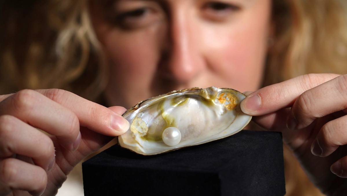 Freshwater pearl rakes in more than £93,000 at auction