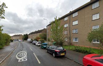 Man charged after ‘dead and uncared-for dogs’ discovered at property in Dundee