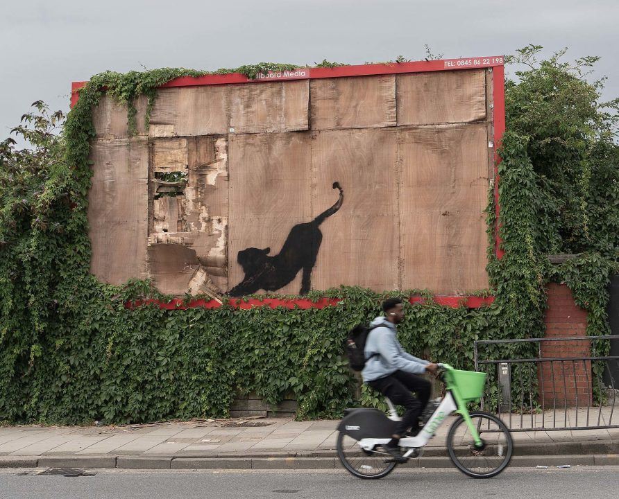 Banksy’s cat artwork to be taken down by hired contractors hours after unveiling