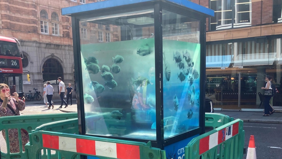 Banksy artwork showing piranhas in a police box moved to keep it safe