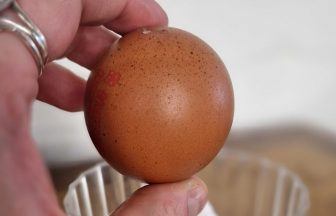 Woman discovers ‘one in a billion’ spherical egg in weekly shop