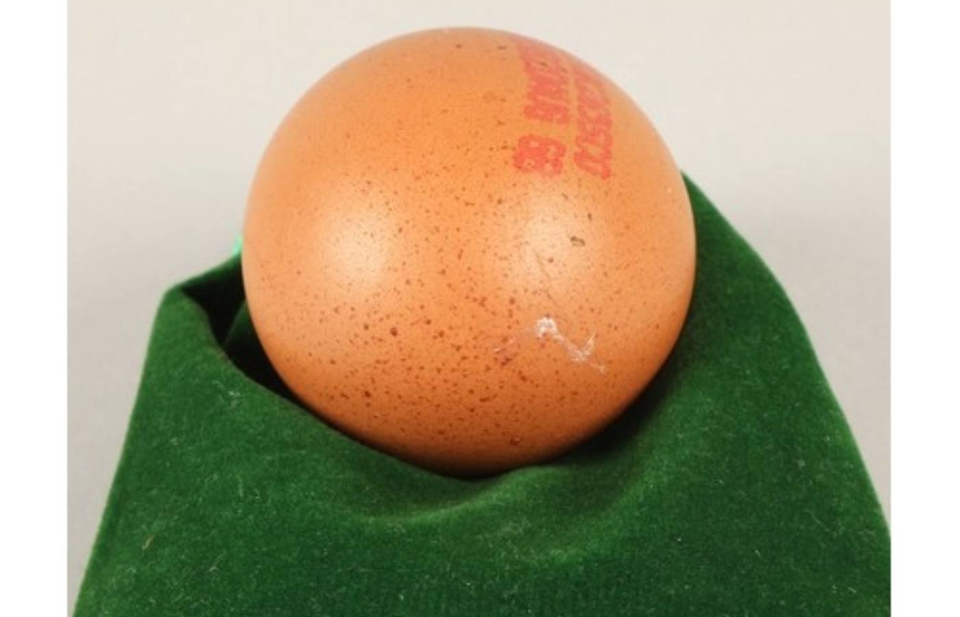 Round eggs are said to be a 'one in a billion' occurrence.