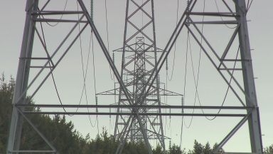 Petition against new electrical pylon route heard in parliament