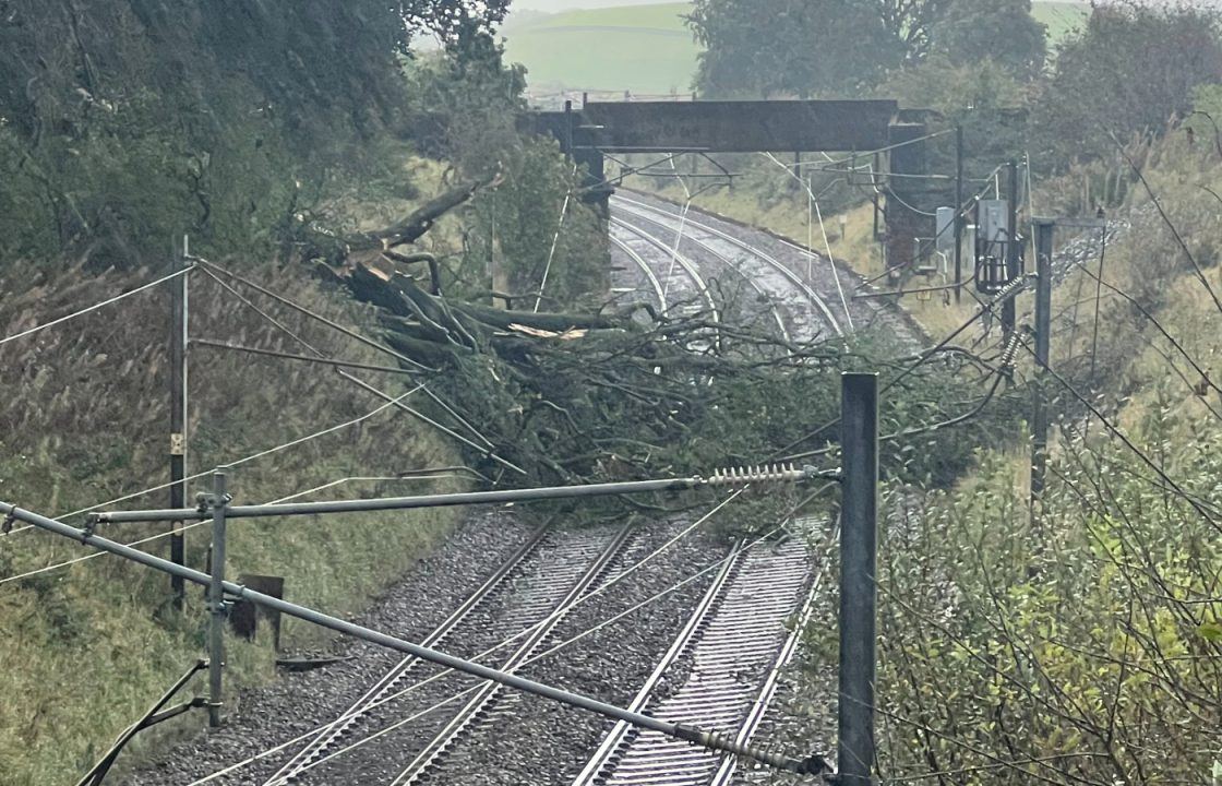 Cross-border trains on West Coast Mainline cancelled after tree destroys overhead wires