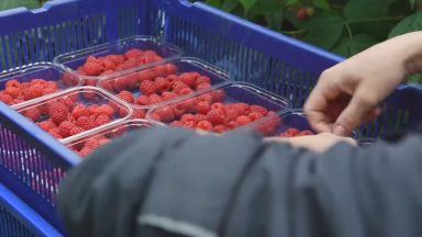 Concern over living conditions of seasonal farm workers