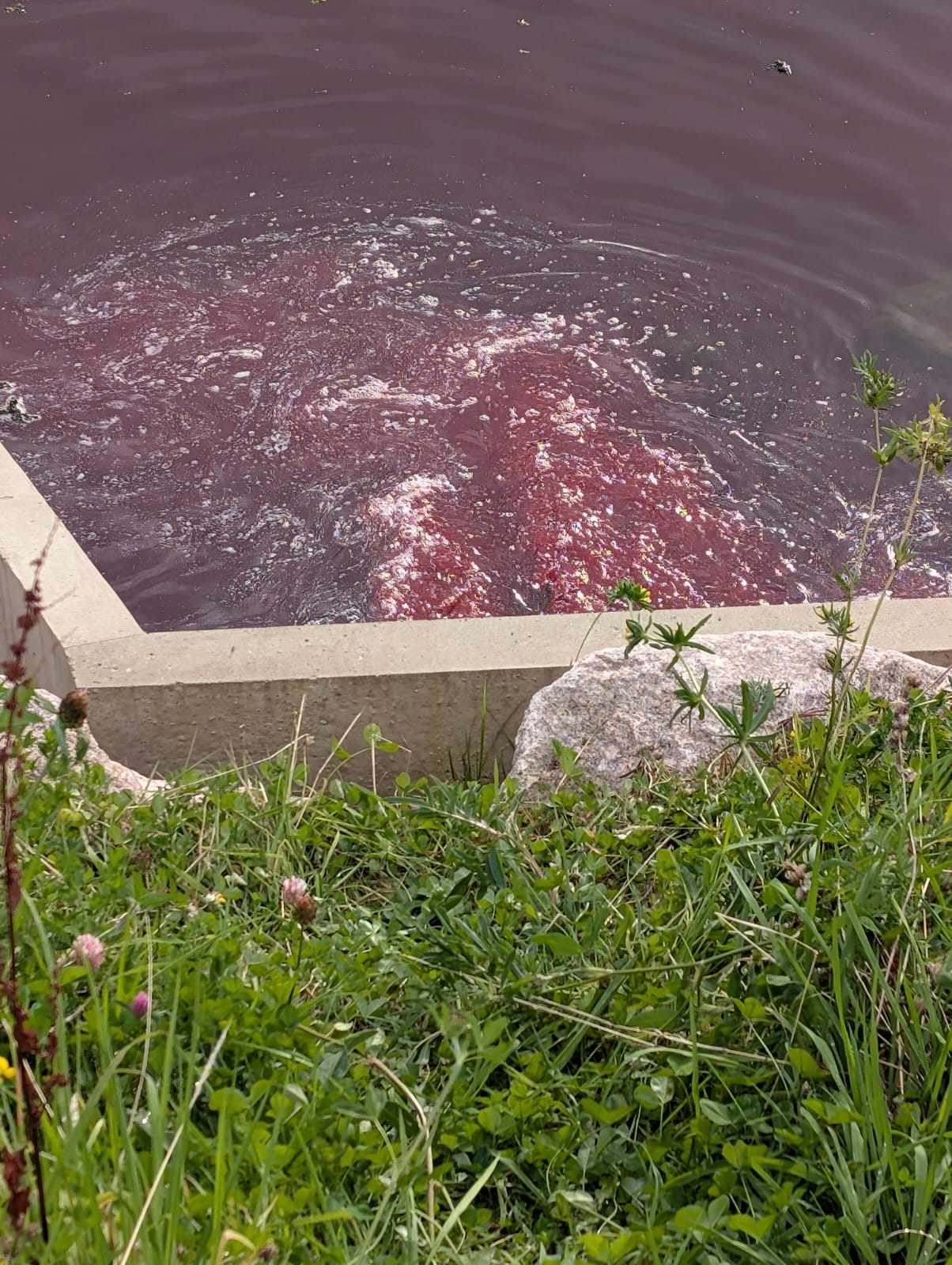 Red liquid pictured in the river flowing from the pipe