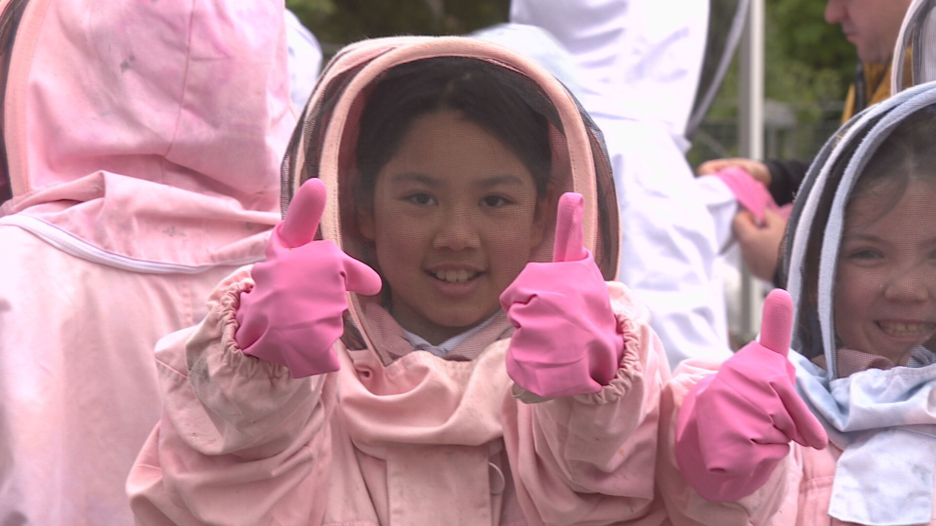 Children from Anderston Primary got a look inside hives at Glasgow's Skypark. 