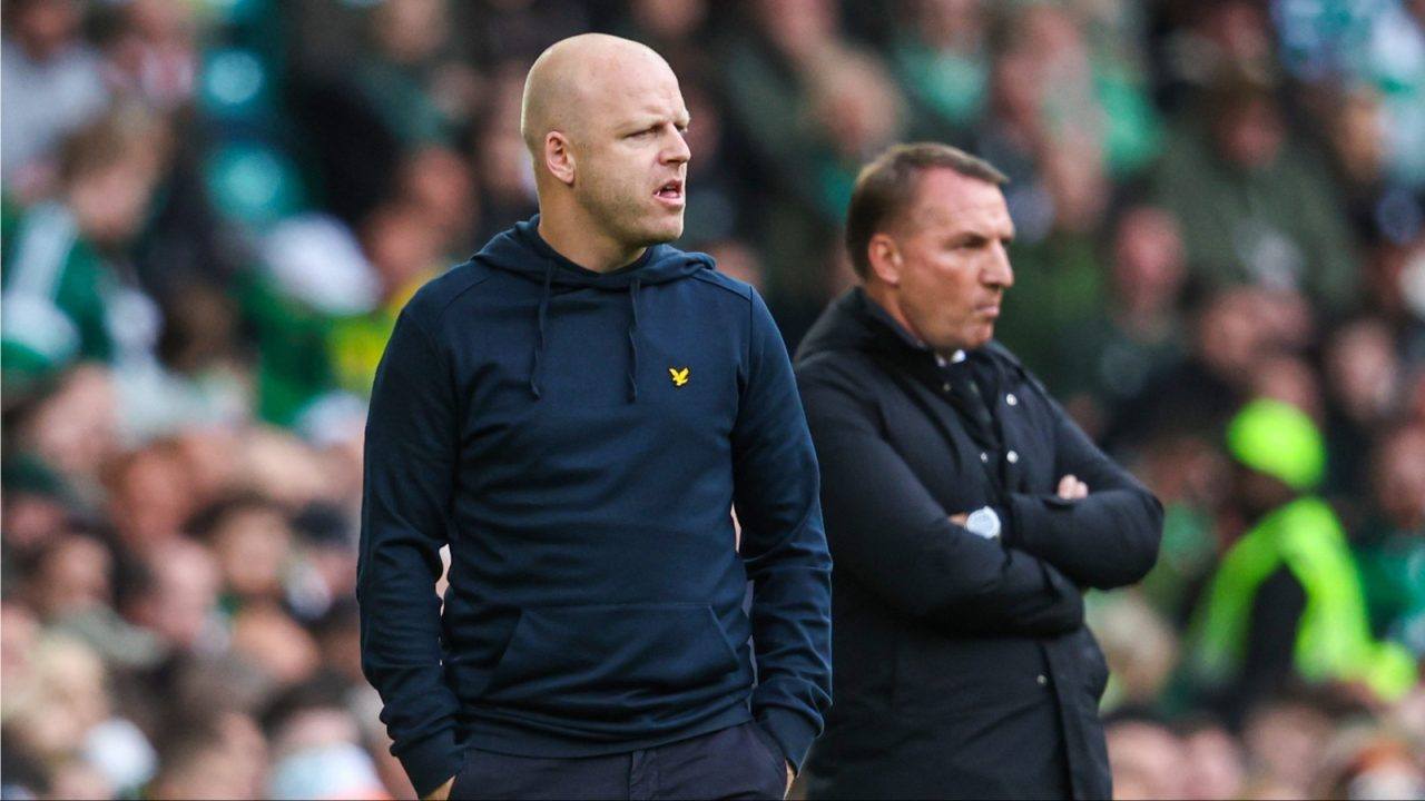 Steven Naismith frustrated by handball calls in Celtic Park defeat