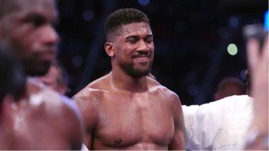 Anthony Joshua says his ‘rollercoaster journey’ in boxing is far from over