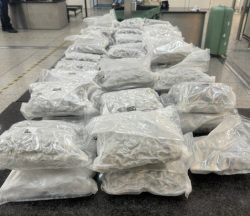 Footballer Jay Emmanuel-Thomas charged after  £600,000 of cannabis seized at Stansted Airport