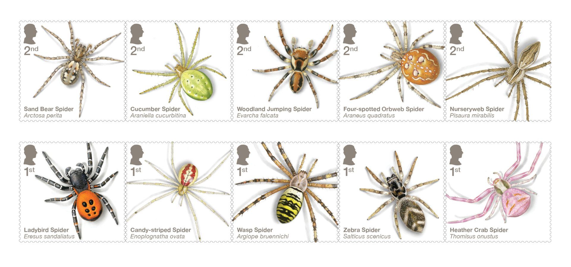 Spider stamps released by Royal Mail