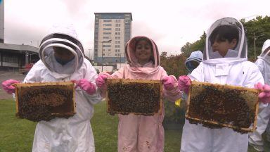 Glasgow schoolchildren get buzz-y meeting 100,000 worker bees