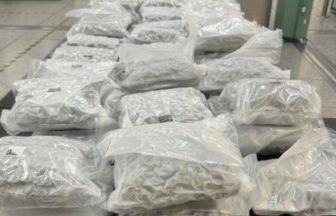 Scot arrested after smugglers caught with £600,000 worth of cannabis at Stanstead airport