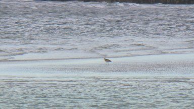 Action needed to stop litter entering Scotland’s seas, says watchdog