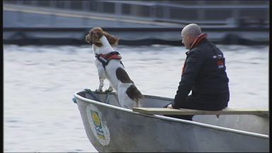 Scotland’s first underwater sniffer dog receives posthumous award