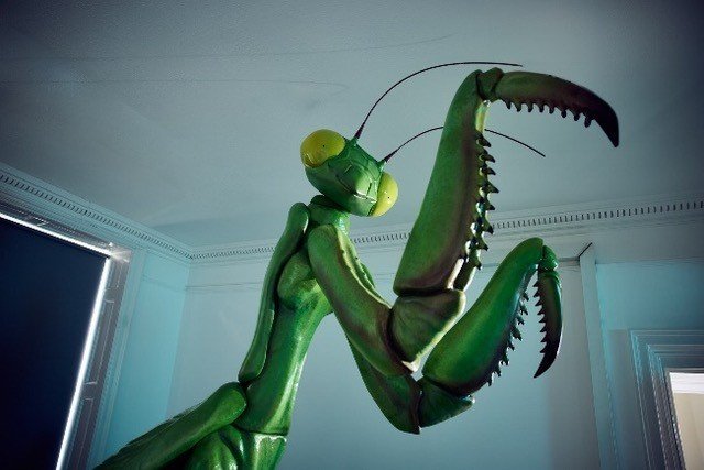 David Shrigley has returned to the school where he first took his first proper art lessons, bringing along a giant praying mantis sculpture. 